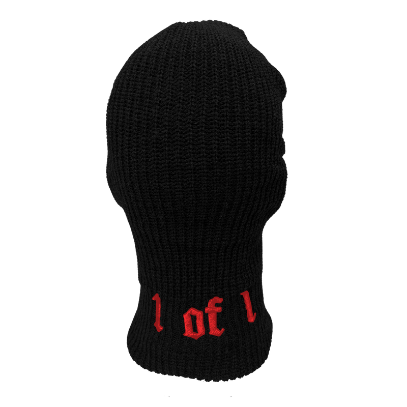 Rare Ski Mask